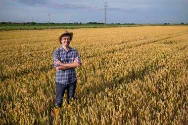 Mutlu çiftçi buğday tarlasında duruyor.