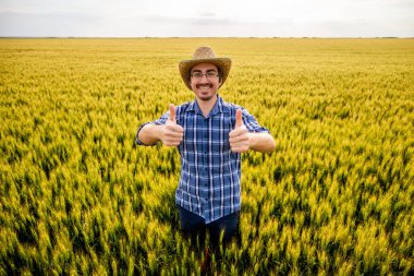 Buğday tarlasında duran mutlu çiftçi. Büyüyen buğday tarlasında tarım işçisinin portresi.
