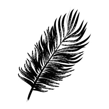 El çizimi basit palmiye yaprağı siluetleri