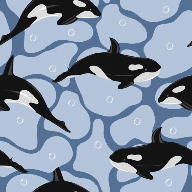 Seamless pattern with killer whale swimming in water. Marine dweller