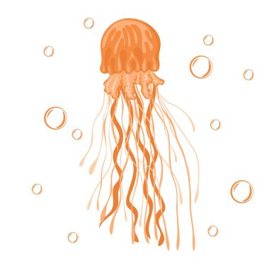 Jellyfish. Marine dweller. Concept of sea and ocean life