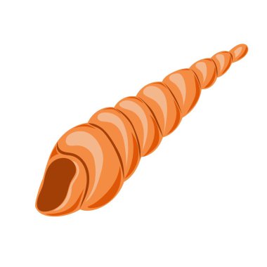 Hand drawn seashell. Shellfish. Marine dwellers