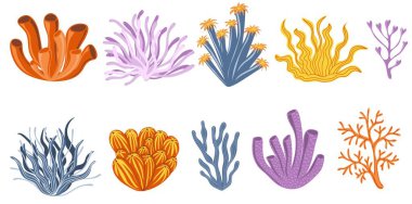 Set of colorful corals and seaweed. Botanical Illustration. Underwater flora, sea plants.