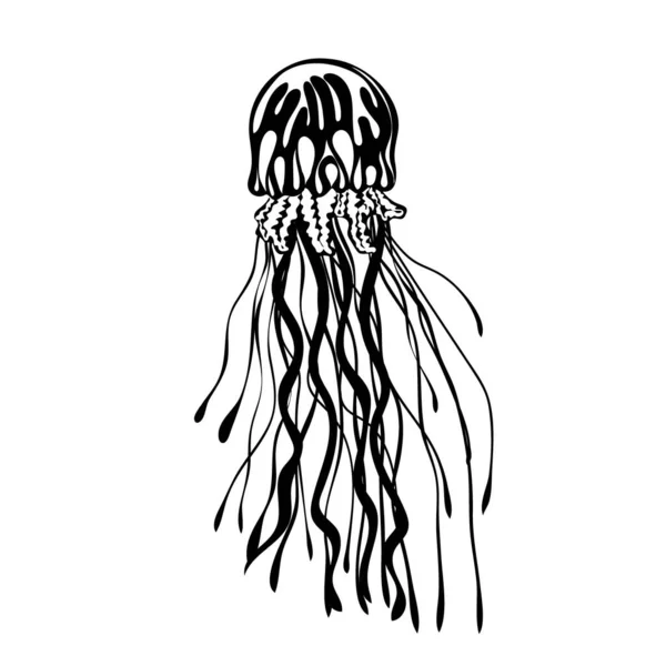 Silhouette Jellyfish Marine Dweller Concept Sea Ocean Life — стоковый вектор