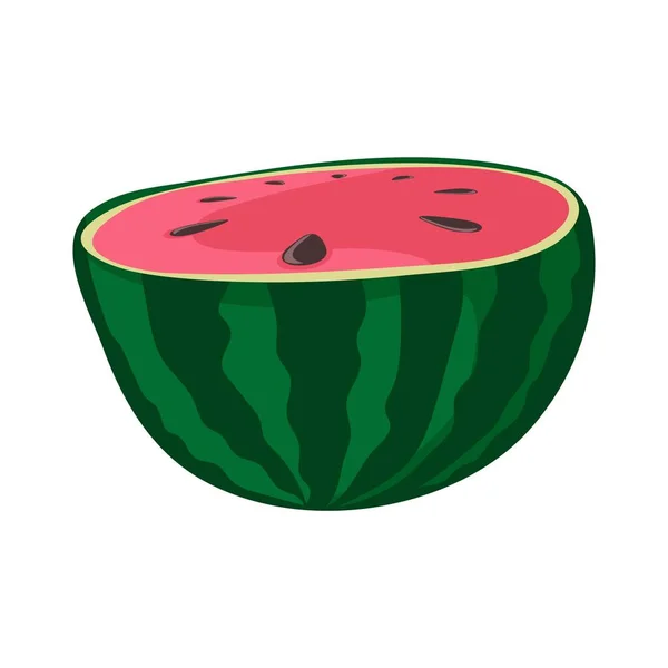 Hälften Vattenmelonen Gröna Randiga Bär Med Röd Fruktkött Och Bruna — Stock vektor
