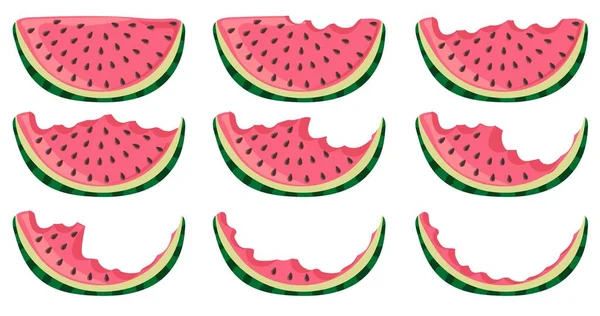 Set Watermelon Pieces Whole Bitten — Stock Vector