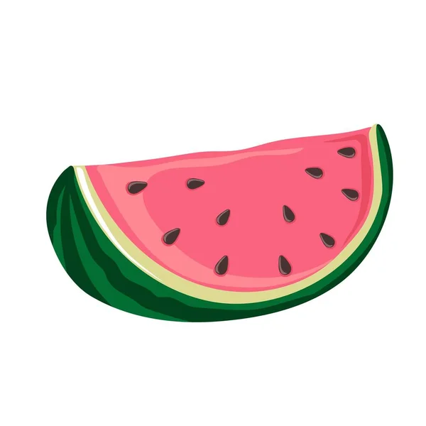 Slice Watermelon Green Striped Berry Red Pulp Brown Seeds — Stock Vector
