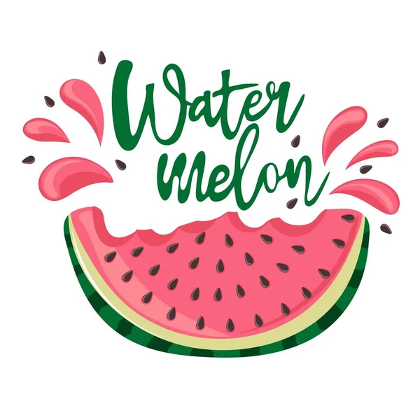 Watermelon Spray Juice Slice Red Flesh Black Seeds Piece Bitten — Stock Vector