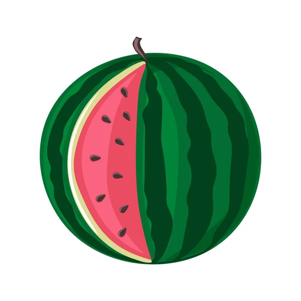 Watermelon Green Striped Berry Red Pulp Brown Seeds — Stock Vector