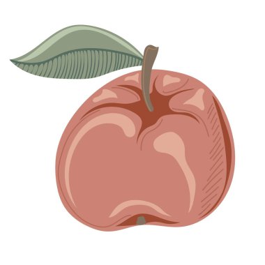 Olgun elma. Tatlı meyve. Sonbahar dekoratif tasarımı, cadılar bayramı daveti, hasat veya şükran günü için el çizimi ögesi