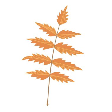 Basit bir sonbahar yaprağı. Sonbahar dekoratif tasarımı, cadılar bayramı daveti, hasat veya şükran günü için el çizimi ögesi
