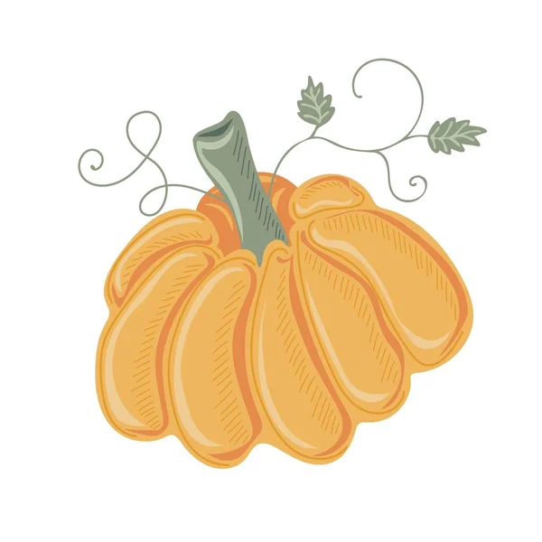 Pumpkin Thanksgiving Halloween Elements Autumn Decorative Design Halloween Invitation Harvest — Stock Vector