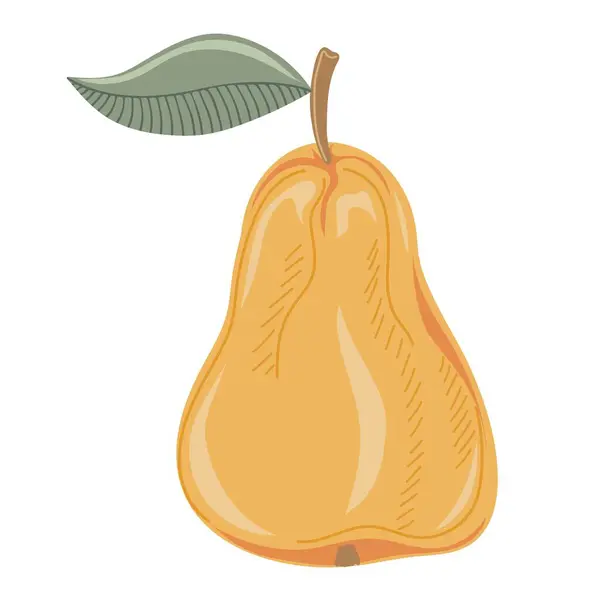 Ώριμο Αχλάδι Γλυκό Φρούτο Χειροποίητο Στοιχείο Για Φθινοπωρινό Διακοσμητικό Σχέδιο — Διανυσματικό Αρχείο