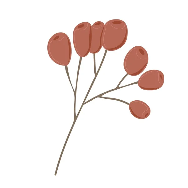 Simple Rameau Automne Avec Des Baies Rowanberry Elément Dessiné Main — Image vectorielle