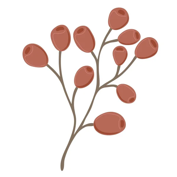 Simple Rameau Automne Avec Des Baies Rowanberry Elément Dessiné Main — Image vectorielle