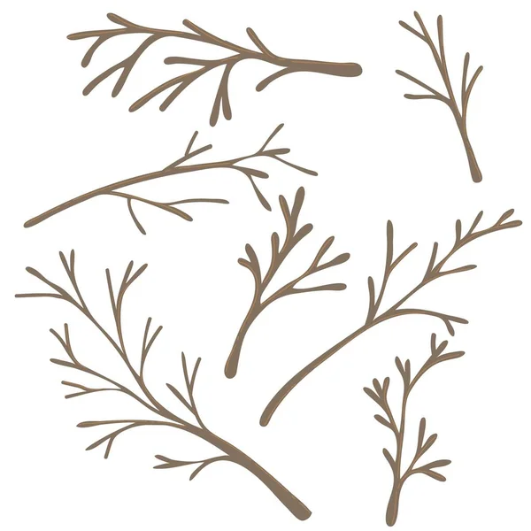 Set Naked Deciduous Autumn Twigs Hand Drawn Element Autumn Decorative — Stock Vector
