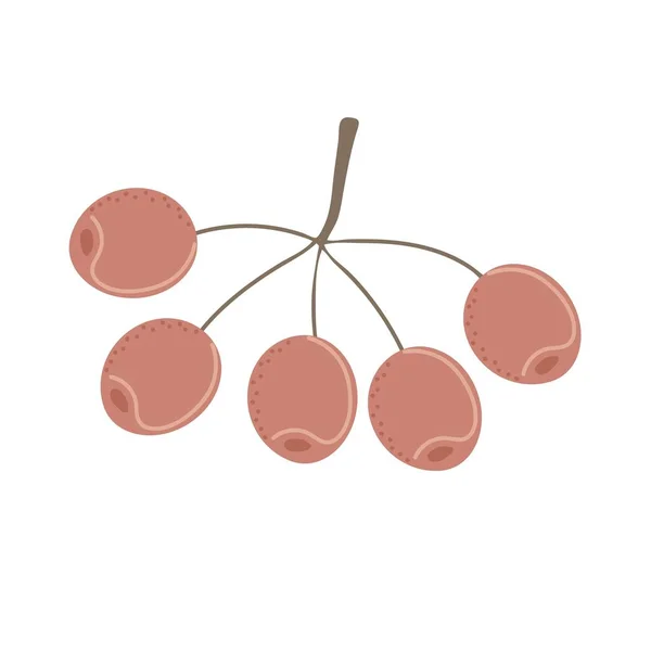 Simple Ramita Otoño Con Bayas Rowanberry Elemento Estilizado Dibujado Mano — Archivo Imágenes Vectoriales