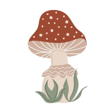 Amanita Muscaria. El çizimi mantar. Sonbahar dekoratif tasarımı için biçimlendirilmiş öge