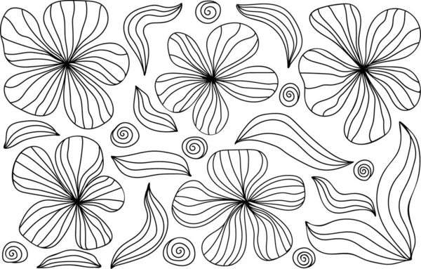 Flores Dibujadas Mano Conjunto Floral Pintura Botánica Negra Moda Decoraciones — Vector de stock
