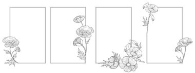 Ana hatlı gelincikli romantik dikdörtgen çerçeve seti. Etiketler için çiçek tasarımı, marka şirketi kimliği, düğün davetiyesi. Vektör illüstrasyonu.
