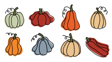 Fırça darbesi desenli el yapımı balkabakları. Cadılar Bayramı ve Şükran Günü tasarımı. Sonbahar ve hasat. Vektör işaretleyici çizimi illüstrasyonu