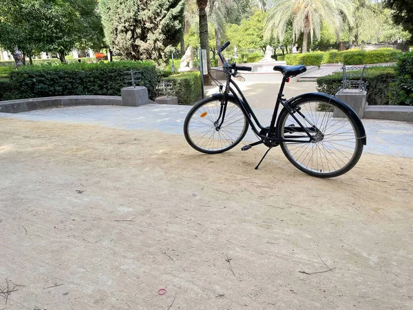 Bicycle parked in green park and trees in the air. Traveling by bicycle