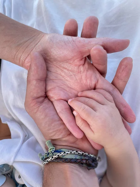 Bebeklerinin elini tutan bir anne ve babanın yakın çekimi. Aile kavramı