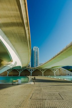 Valencia İspanya 13 Ekim 2023 Valencia 'daki sanat ve bilim binalarının panoramik manzarası. Valencia İspanya' nın en büyük ikinci şehridir.