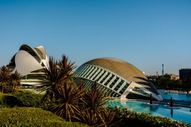 Valencia İspanya 13 Ekim 2023 Valencia 'daki sanat ve bilim binalarının panoramik manzarası. Valencia İspanya' nın en büyük ikinci şehridir.