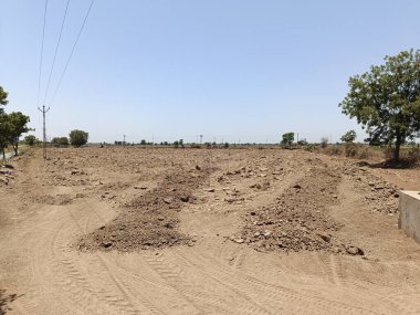 Açık arazideki inek gübresi doğal olarak çürümüş. Normalde ekinleri gübrelemek için kullanılır..