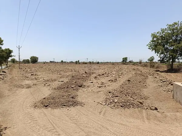 Açık arazideki inek gübresi doğal olarak çürümüş. Normalde ekinleri gübrelemek için kullanılır..