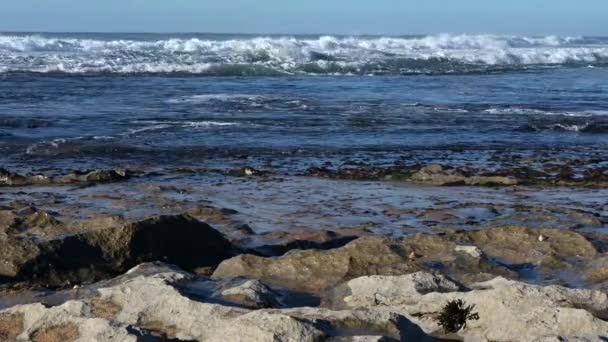 Ocean Waves Breaking Beach — Stock Video