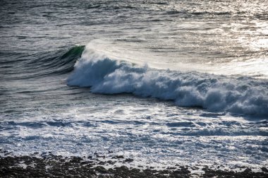 Sahilde büyük bir okyanus dalgası