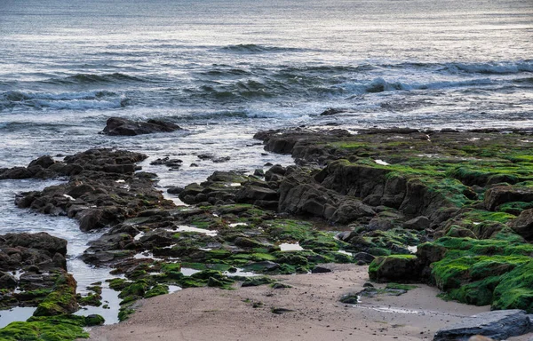 Mar Mar Mar Olas Con Rocas Con Musgo Verde —  Fotos de Stock