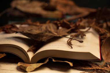 Yaprakların arasında kaybolmuş bir kitap, arka planda kitap okumak, insanların kitap okumadığı bir zamanda bir kitap bir macera ve bir yerlere seyahat demektir.