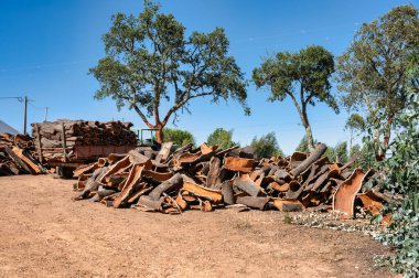 Alentejo Portekiz 'de bir alanda işlem için bekleyen mantar sütunları