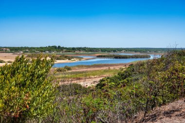 Portekiz 'in Alentejo sahilindeki Melides plajı manzarası