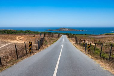 Portekiz 'in Alentejo kıyısındaki Pesseguiro Adası manzarası