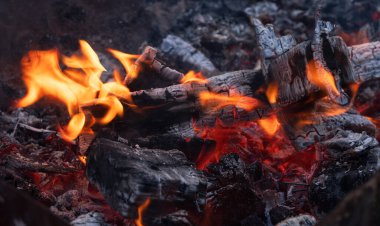 Yanan turuncu alevler ve kömürleşmiş odunlarla canlı bir ateşe yakın çekim yaparak, sıcaklığın yoğunluğunu yakalıyor..