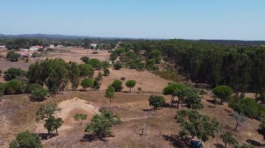 Portekiz 'in Alentejo bölgesindeki tepeler, kuru tarlalar ve açık yeşil ağaçlar altında yemyeşil ağaçlarla