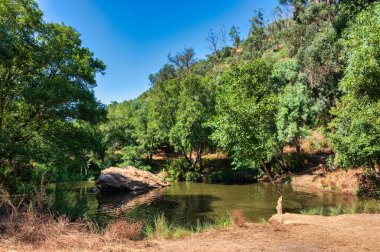 Bereketli yeşillik ve kayalık arazi ile çevrili sakin bir nehir, doğa ve seyahat kavramları için mükemmel, Pego das Pias Alentejo Portekiz 'de güzel bir arazi.