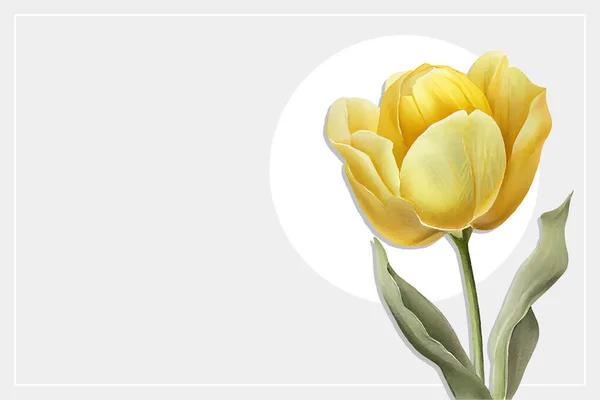 Žlutý Tulipán Bílém Pozadí Šablona Vektorové Akvarelové Karty — Stockový vektor