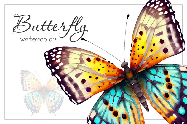 Elegante Mariposa Estilo Acuarela Ilustración Vectorial — Vector de stock