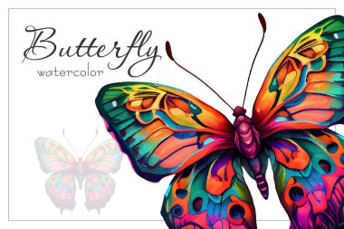 Suluboya tarzında canlı bir kelebek. Vektör illüstrasyonu.