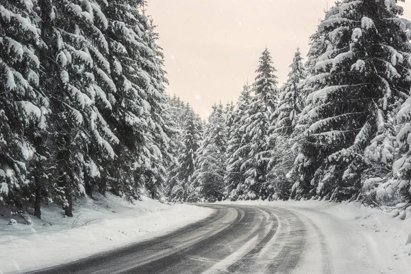 Узкая Извилистая Горная Дорога Окружении Елового Леса Время Снегопада Живописный Стоковая Картинка