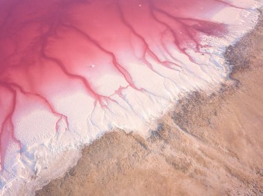 Amazing forms of land surface with water and salt, nature abstract background, aerial view of pink extremely salty Syvash Lake also known as Putrid or Rotten Sea. Landscape of Ukraine, Kherson Region