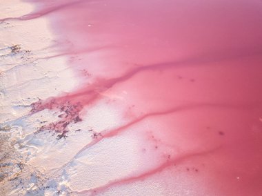 Amazing forms of land surface with water and salt, nature abstract background, aerial view of pink extremely salty Syvash Lake also known as Putrid or Rotten Sea. Landscape of Ukraine, Kherson Region