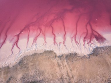 Amazing forms of land surface with water and salt, nature abstract background, aerial view of pink extremely salty Syvash Lake also known as Putrid or Rotten Sea. Landscape of Ukraine, Kherson Region