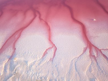 Amazing forms of land surface with water and salt, nature abstract background, aerial view of pink extremely salty Syvash Lake also known as Putrid or Rotten Sea. Landscape of Ukraine, Kherson Region