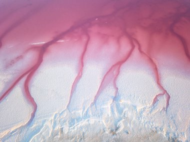 Amazing forms of land surface with water and salt, nature abstract background, aerial view of pink extremely salty Syvash Lake also known as Putrid or Rotten Sea. Landscape of Ukraine, Kherson Region